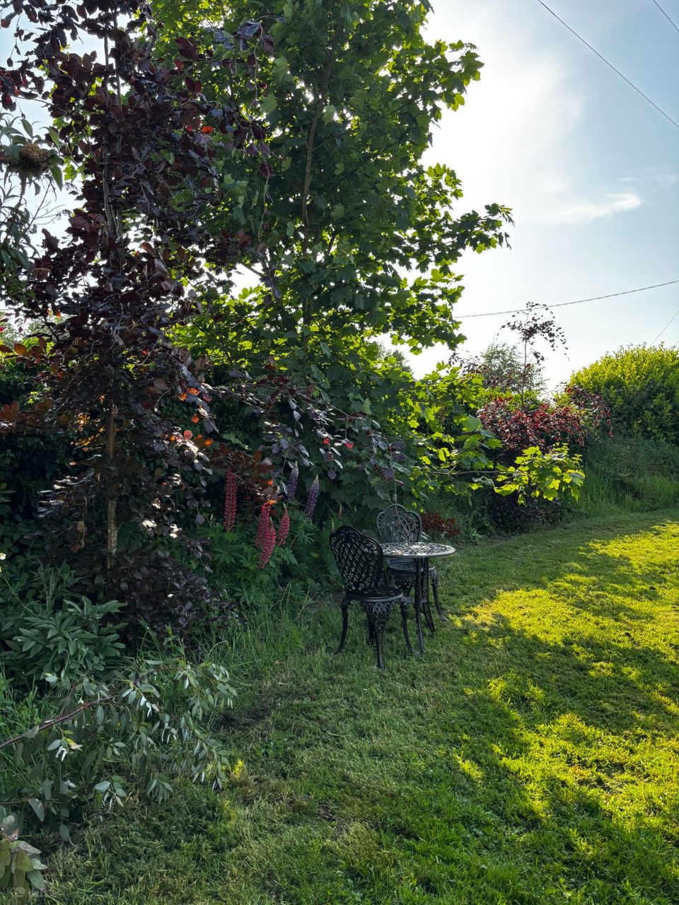 Castlelost, Rochfortbridge, Co. Westmeath
