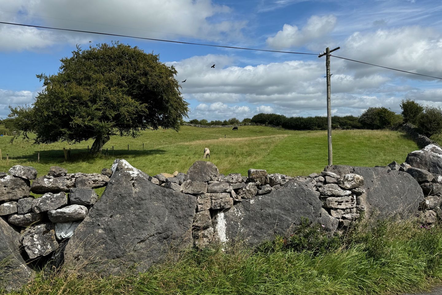 Knockaunakill, Mayo Abbey, Claremorris, Co. Mayo