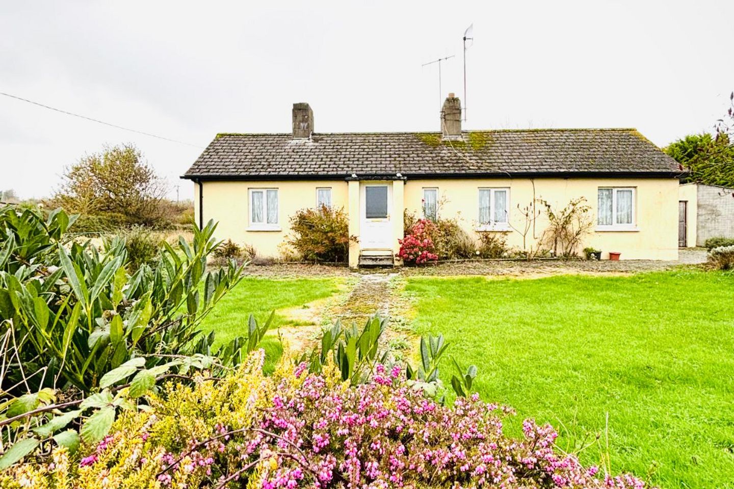 Garrandarragh, Mullinavat, Mullinavat, Co. Kilkenny, X91H519