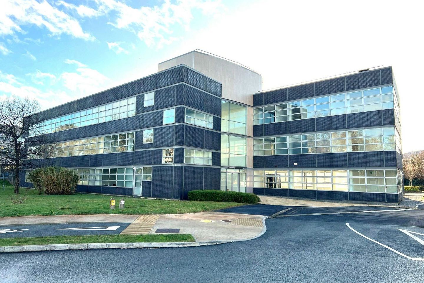 Icon Building, South County Business Park, D18 F851, Leopardstown, Dublin 18