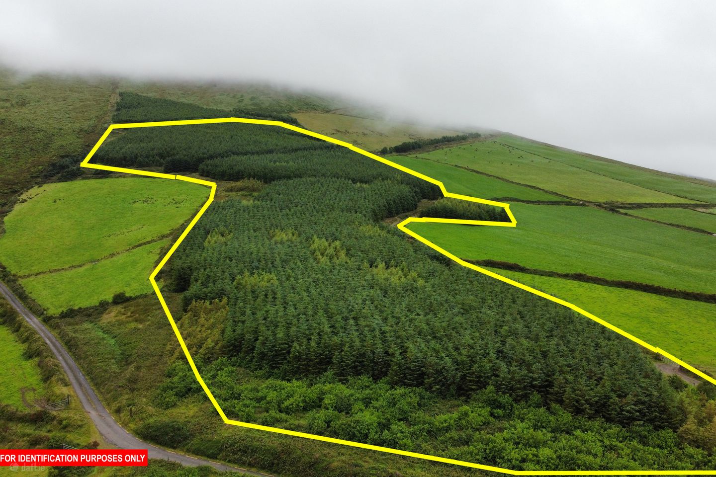 Lougher, Anascaul, Co. Kerry