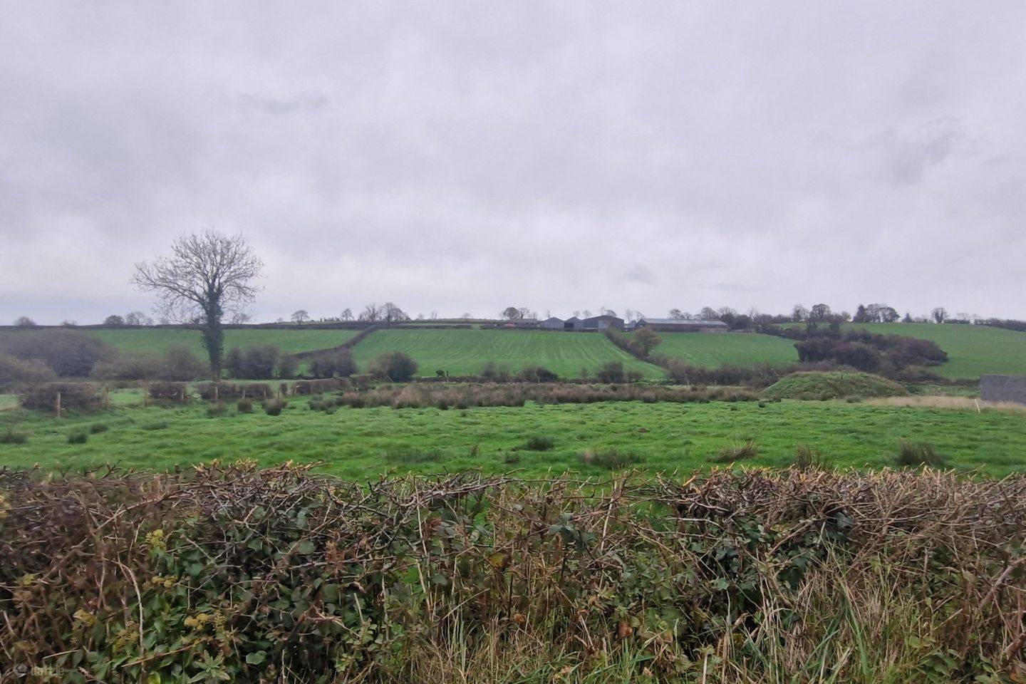Site For Sale, Crosshugh, Ardaghy, Co. Monaghan