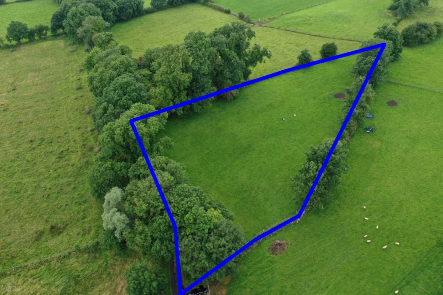 C. 1.25 Aces At, Lisnagavragh, Four Roads, Co. Roscommon