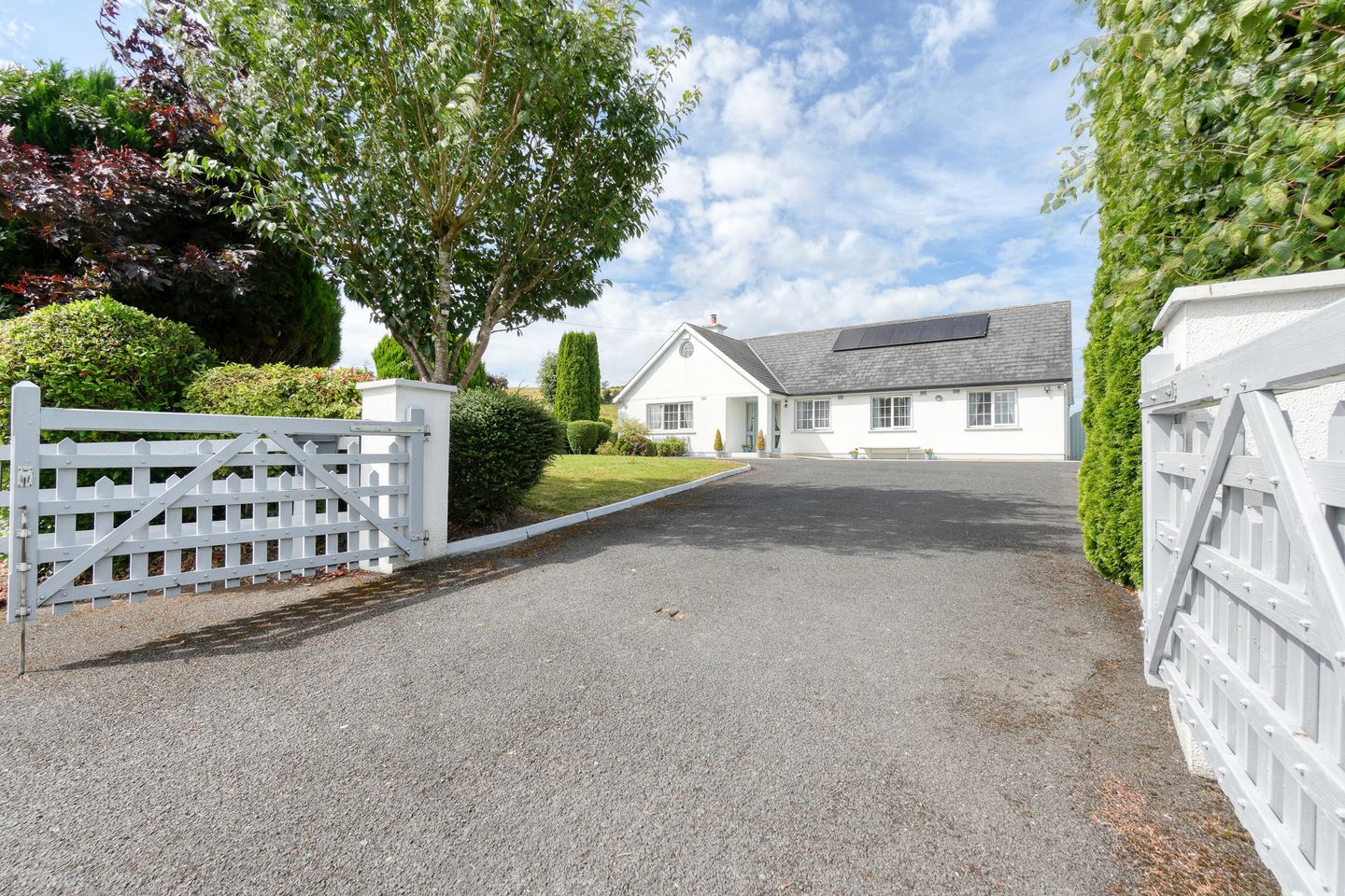 Ballagh, Errill, Co. Laois, R21P447