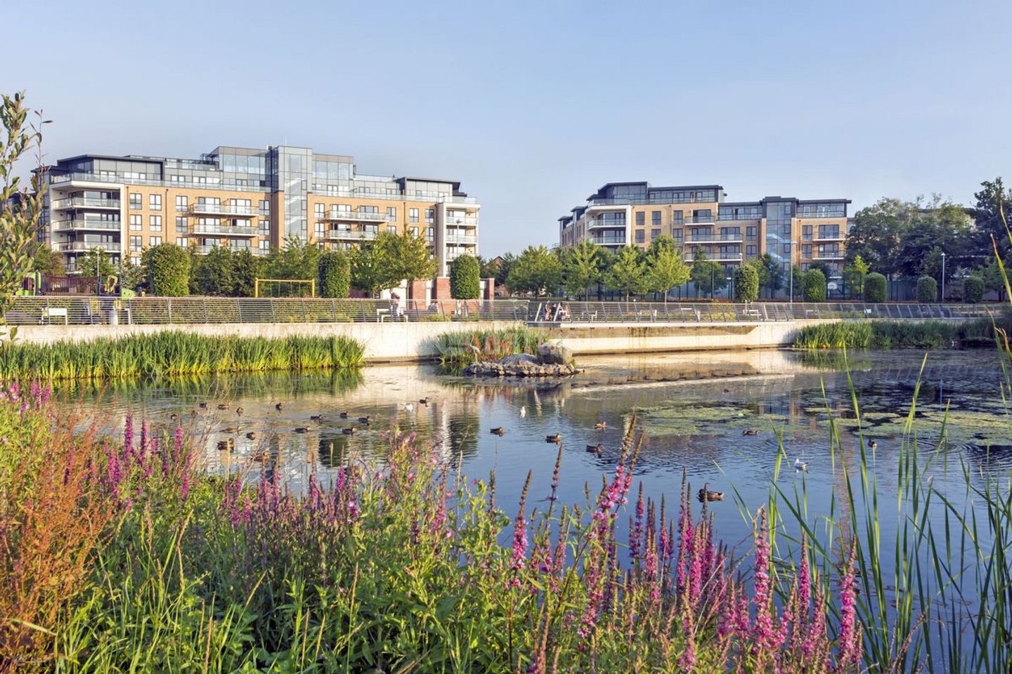 Charlotte,Honey Park,Dun Laoghaire,Co. Dublin, Sallynoggin, Co. Dublin