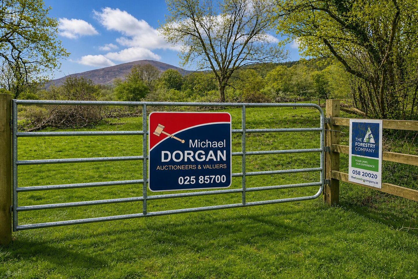 c.53 acres Forrest, Rearoe, Clogheen near, Mitchelstown, Co. Cork