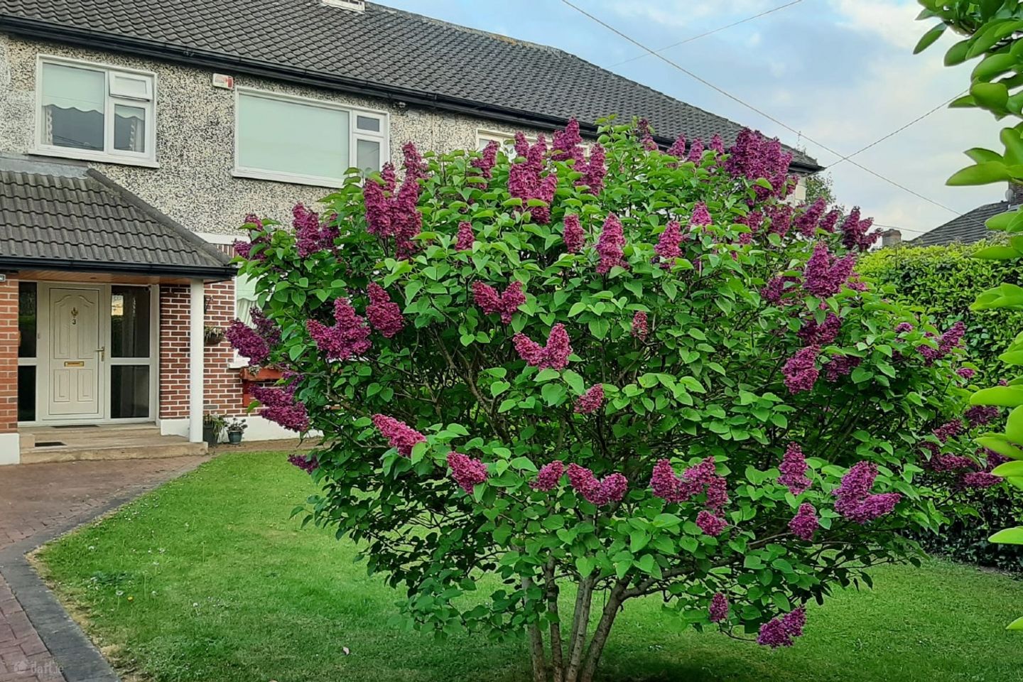 Leopardstown Grove, Stillorgan, Co. Dublin