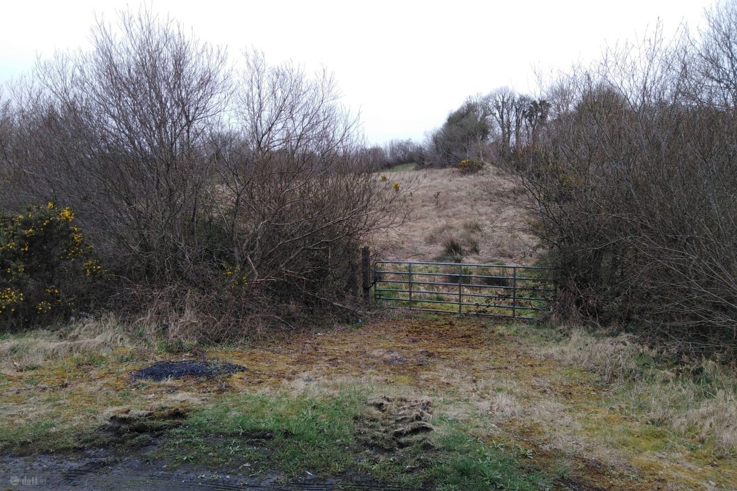 Knock, Knock, Co. Mayo