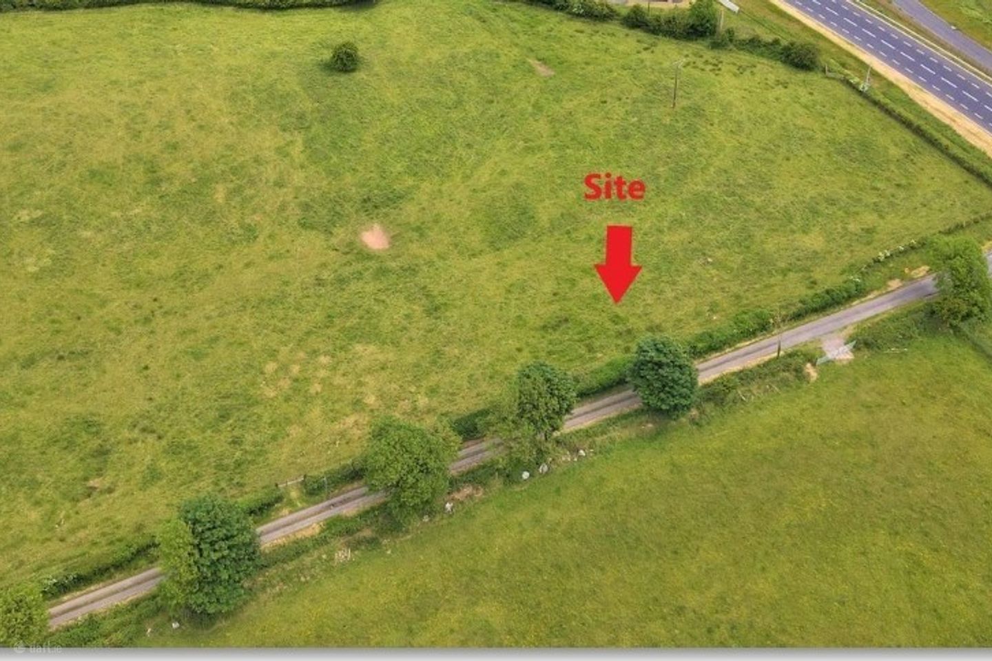 Killynan Pratt Turin, Bracklin, Co. Westmeath