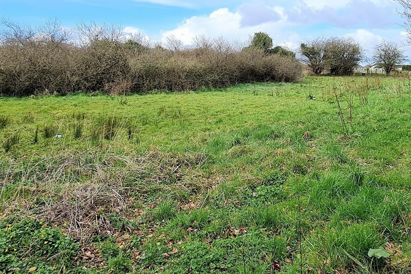 Moneen, Castlebar, Co. Mayo