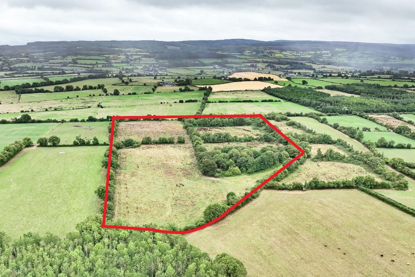 Drummond, Rosenallis, Co. Laois