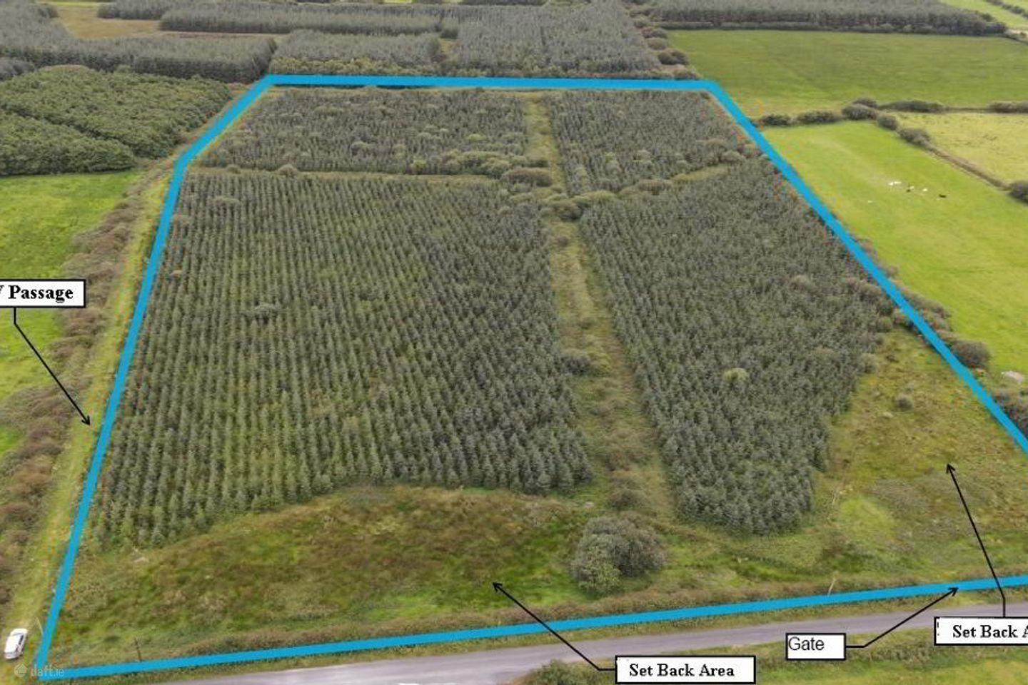 Cloonmore, Doonbeg, Co. Clare