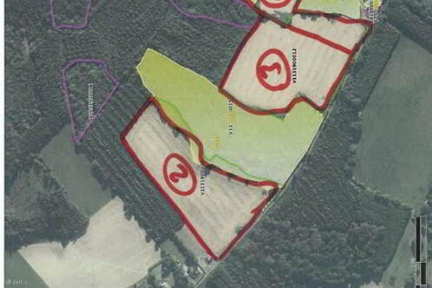 37 Acres, 1st & 2nd Cut Silage, Casteltown, Coolbawn, Nenagh, Co. Tipperary