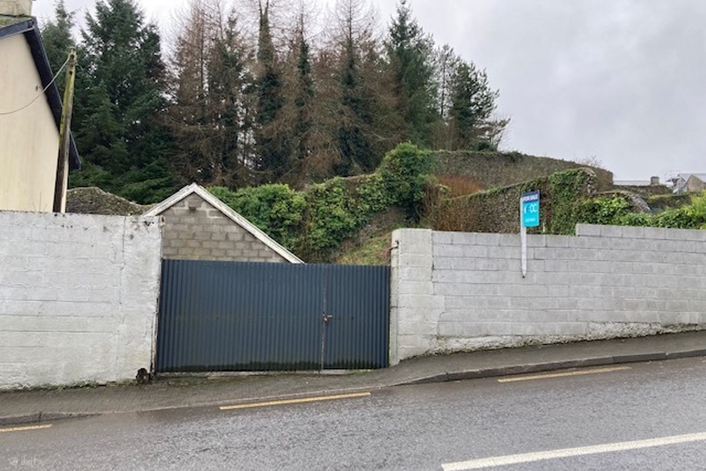 The Hill, Castletownroche, Castletownroche, Co. Cork