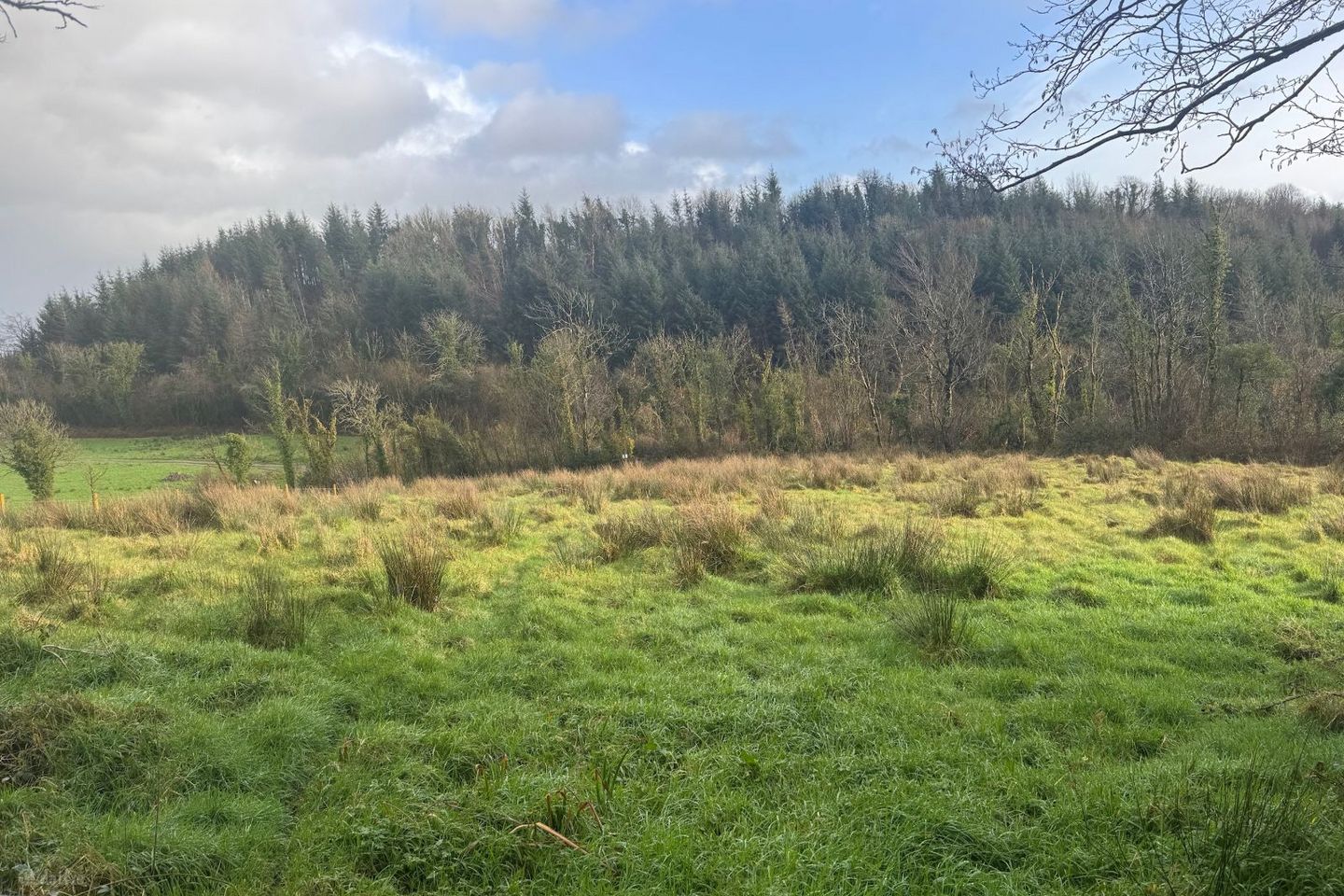 Aghaleague, Ballinamore, Ballinamore, Co. Leitrim