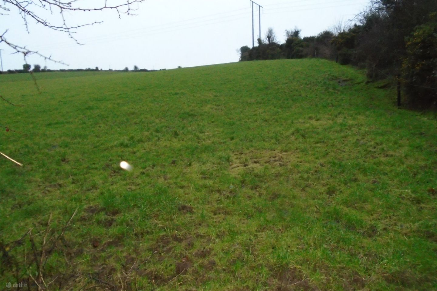 Listerlin Tullogher Mullinavat Co Kilkenny, Tullogher, Co. Kilkenny