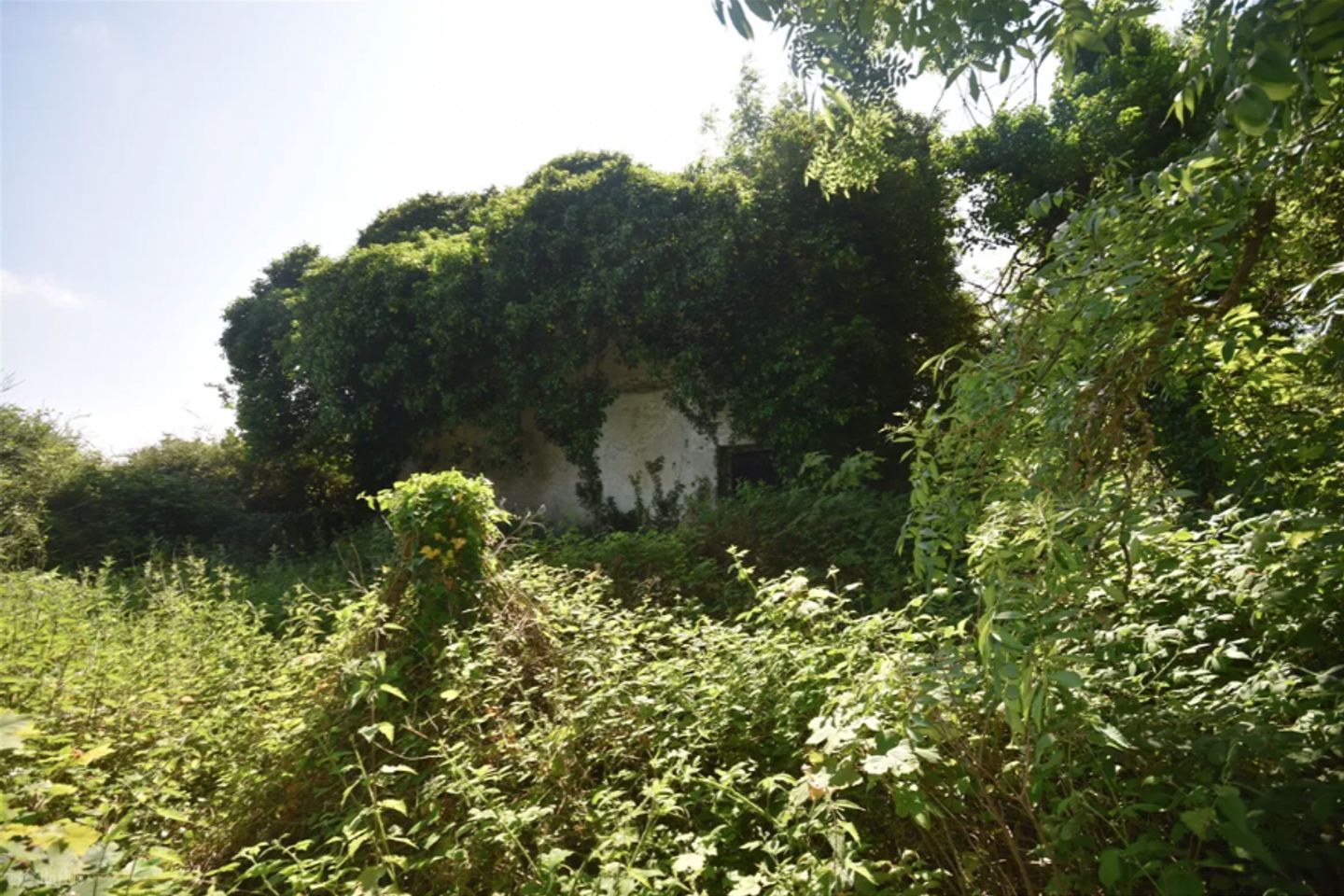 Derrycarne, Dromod, Co. Leitrim