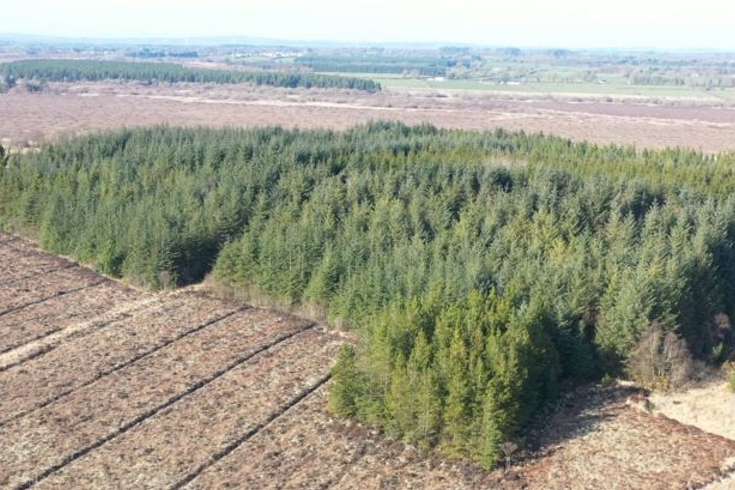 Clooncoose North, Castlerea, Co. Roscommon