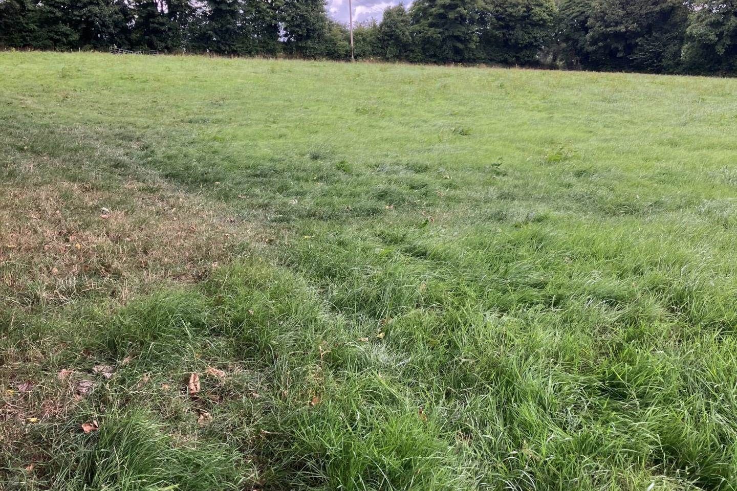 Doon, Mallow, Co. Cork, P51A7K2