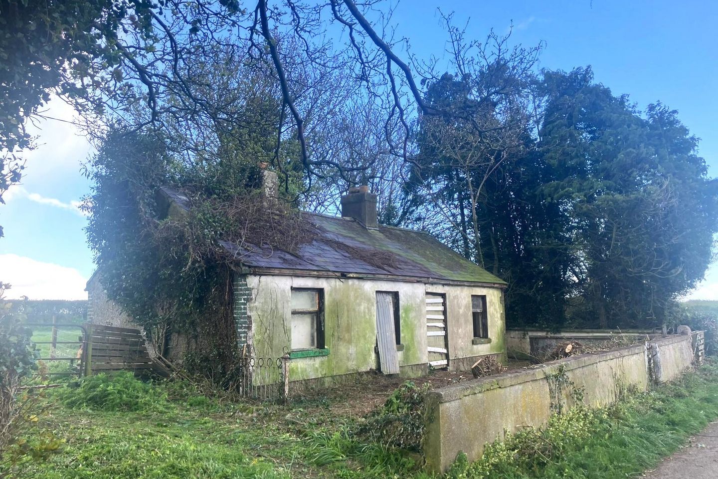Tankardstown Site, Ballylynan, Co Laois