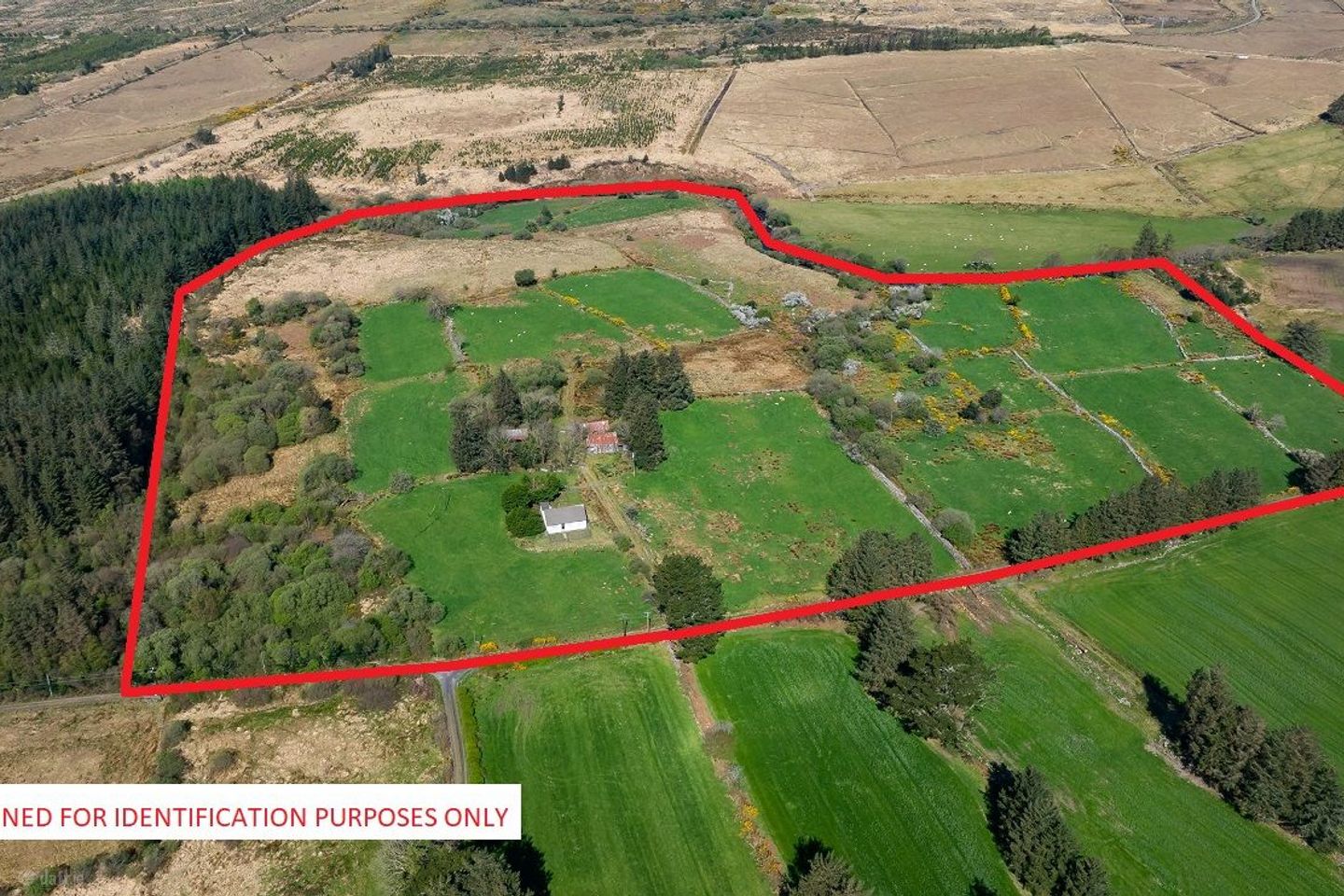 Dereen, Mastergeehy, Waterville, Co. Kerry