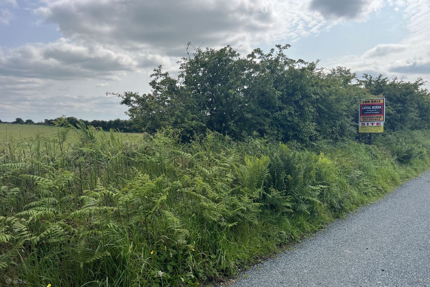 Currafaireen, Monivea, Co. Galway