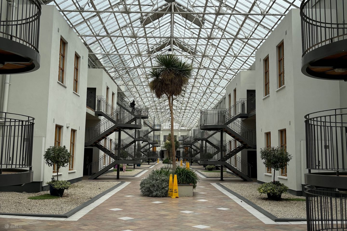 The Sycamore, Winter Garden, Dublin 2