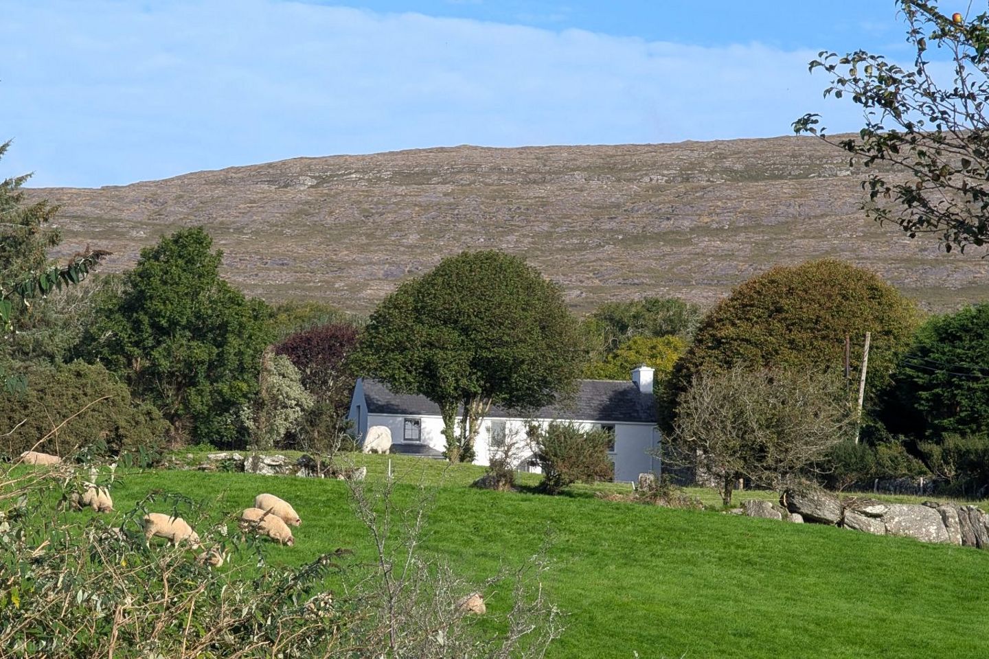 Brahalish, Durrus, Bantry, Gerahies, Co. Cork