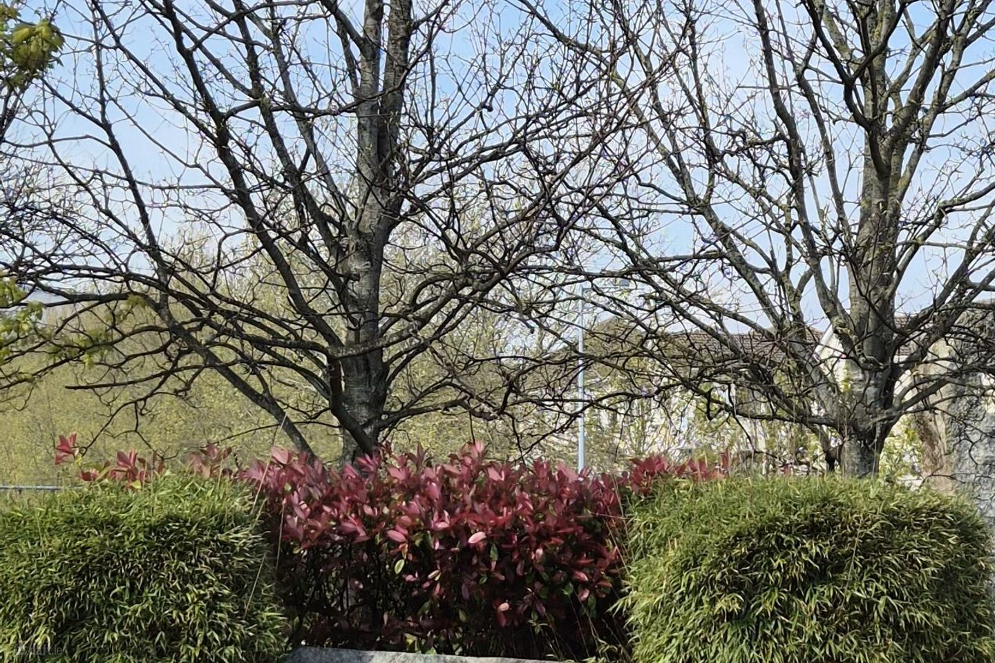 77 Charlesland Park, Greystones, Co. Wicklow, A63KC81