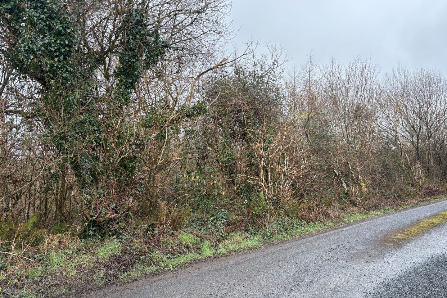 Land/Wood 0.90HA (2.22 ACRES) Doonbeg Road, Kilrush, Kilrush, Co. Clare