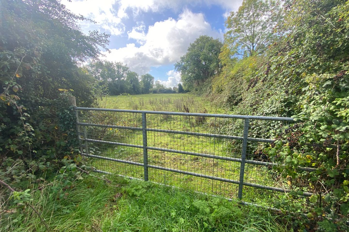 Cabin Hill, Ratoath, Co. Meath