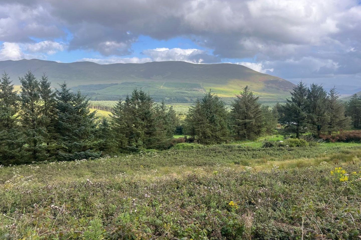 Lougher, Anascaul, Co. Kerry
