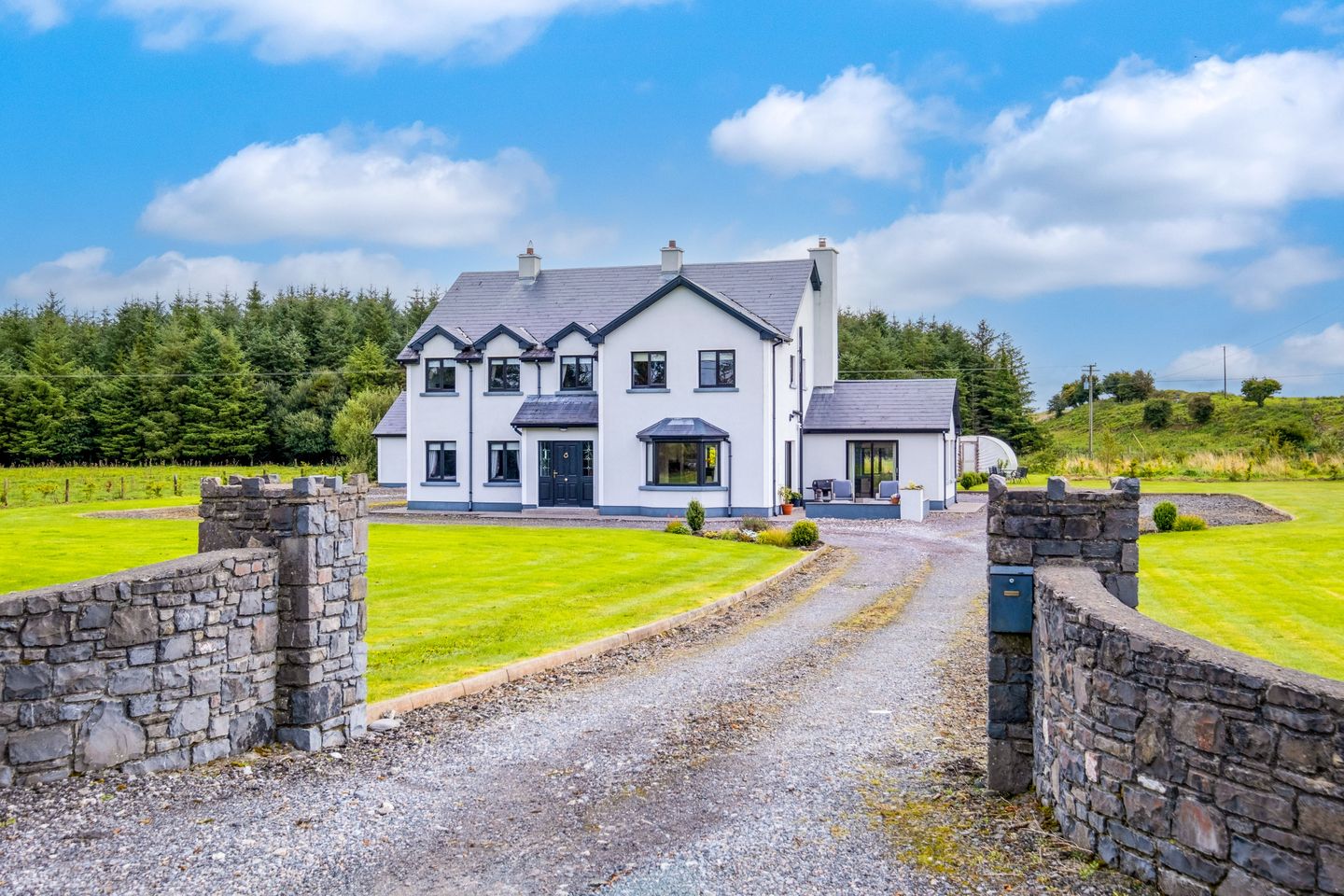Ballydavid, Loughrea, Co. Galway, H62HP40