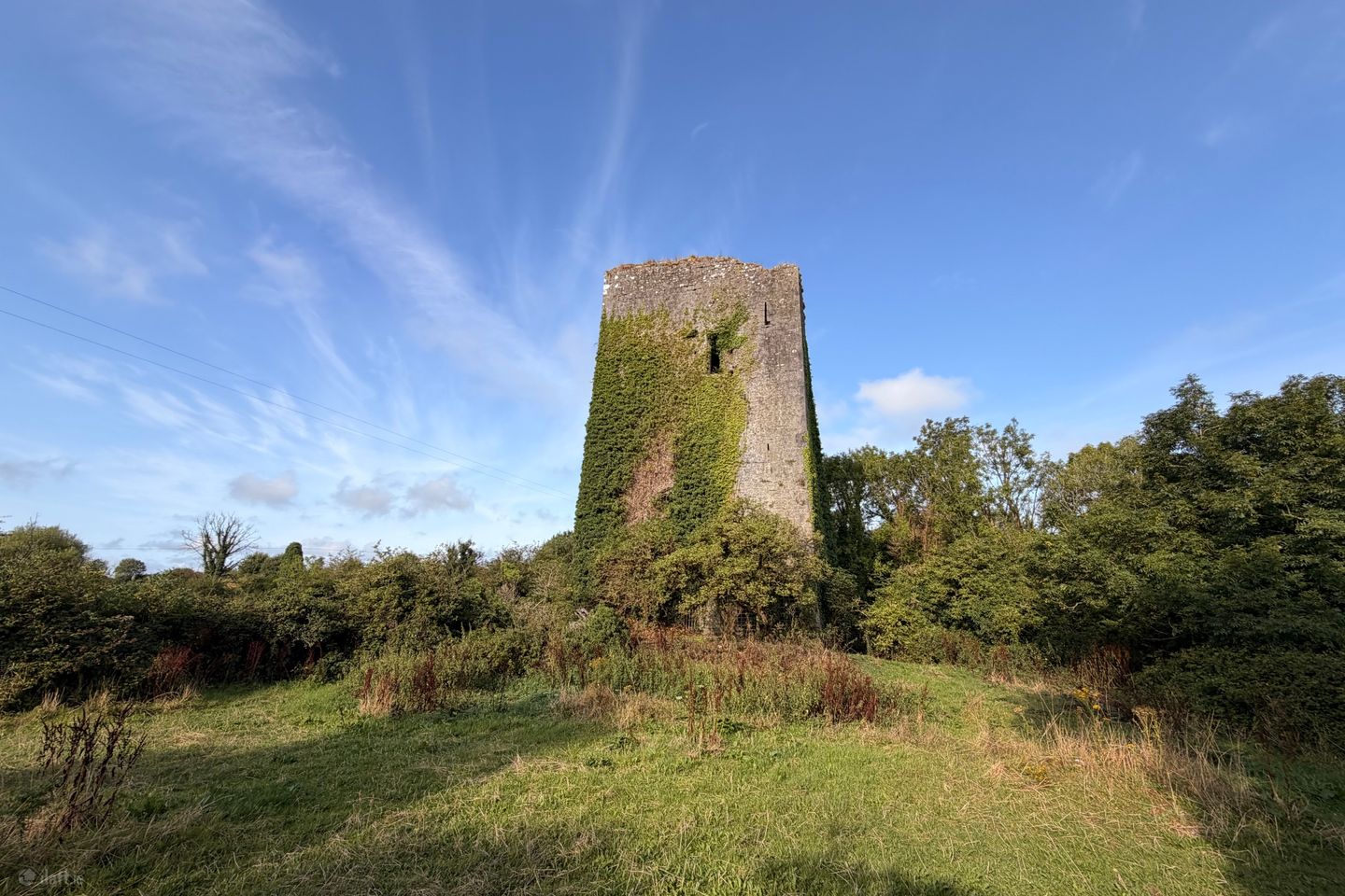 Ballygriffey Castle Ruins On 0.7ha, Folio CE3481F, Ballygriffey South, Ruan, Co. Clare