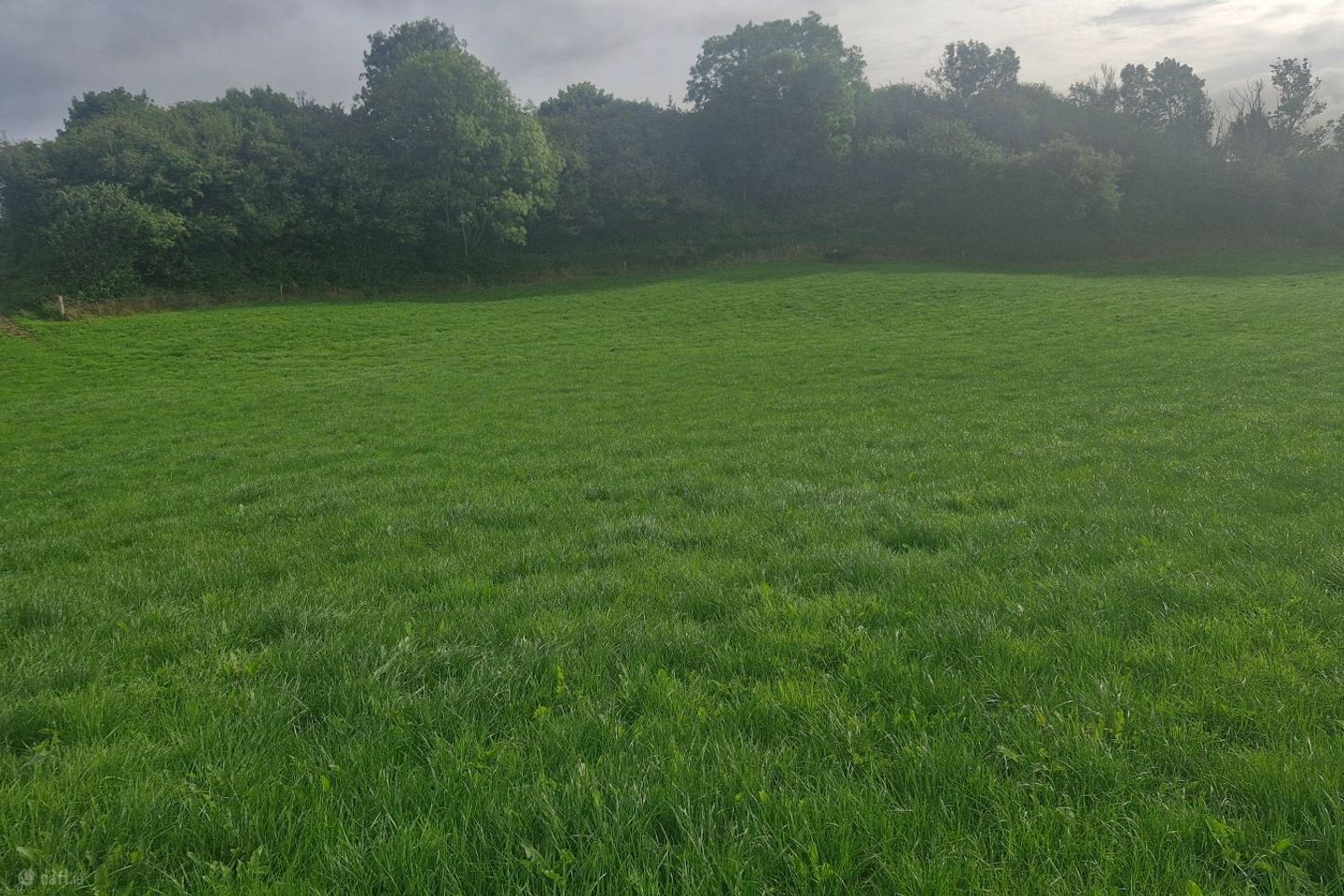 Ballyleen, Tynagh, Loughrea, Tynagh, Co. Galway, H62FF10