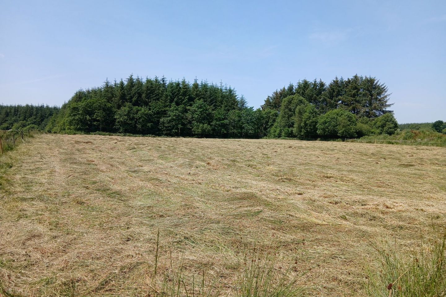 Rathbeg, Rathmore, Co. Kerry
