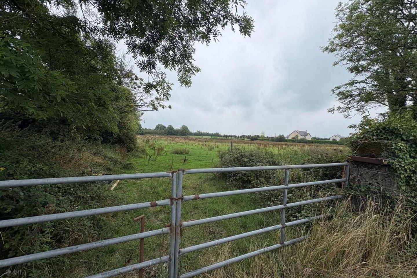 Ballyrobin, Newcastle West, Co. Limerick