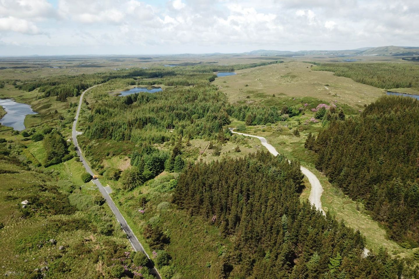 Derryvickrune, Ballynahinch, Co. Galway