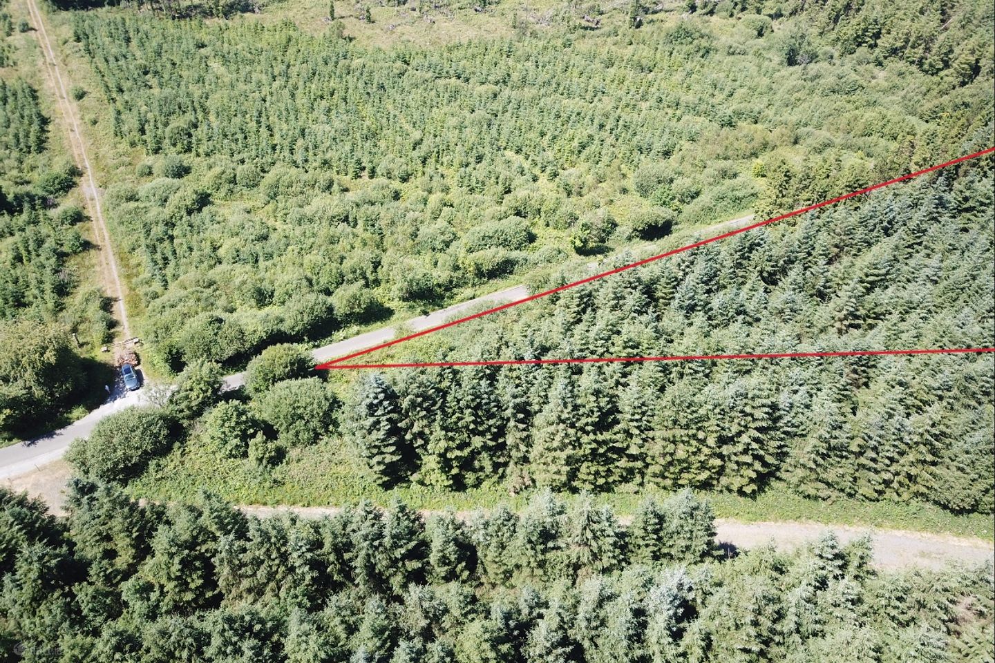 Forestry Land At Smithstown, Mullinavat, Co. Kilkenny