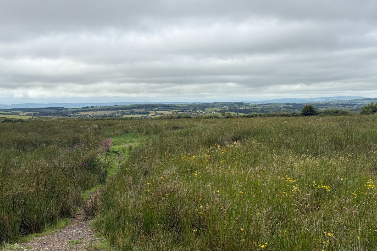 Boolyduff, Inagh, Co. Clare