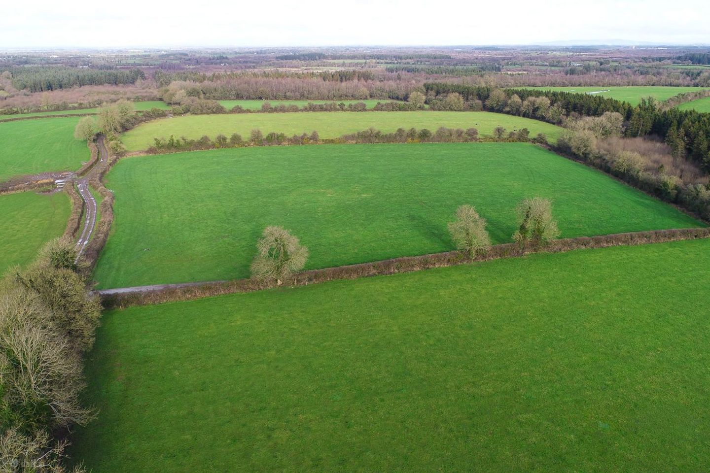 Ballinure, Thurles, Co. Tipperary