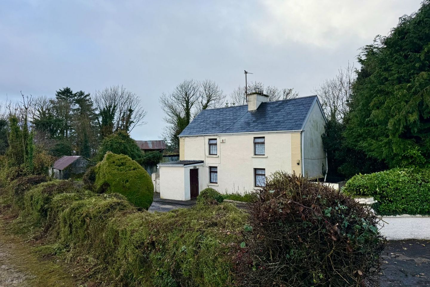 Levallyroe, Ballyhaunis, Co. Mayo, F35DK54