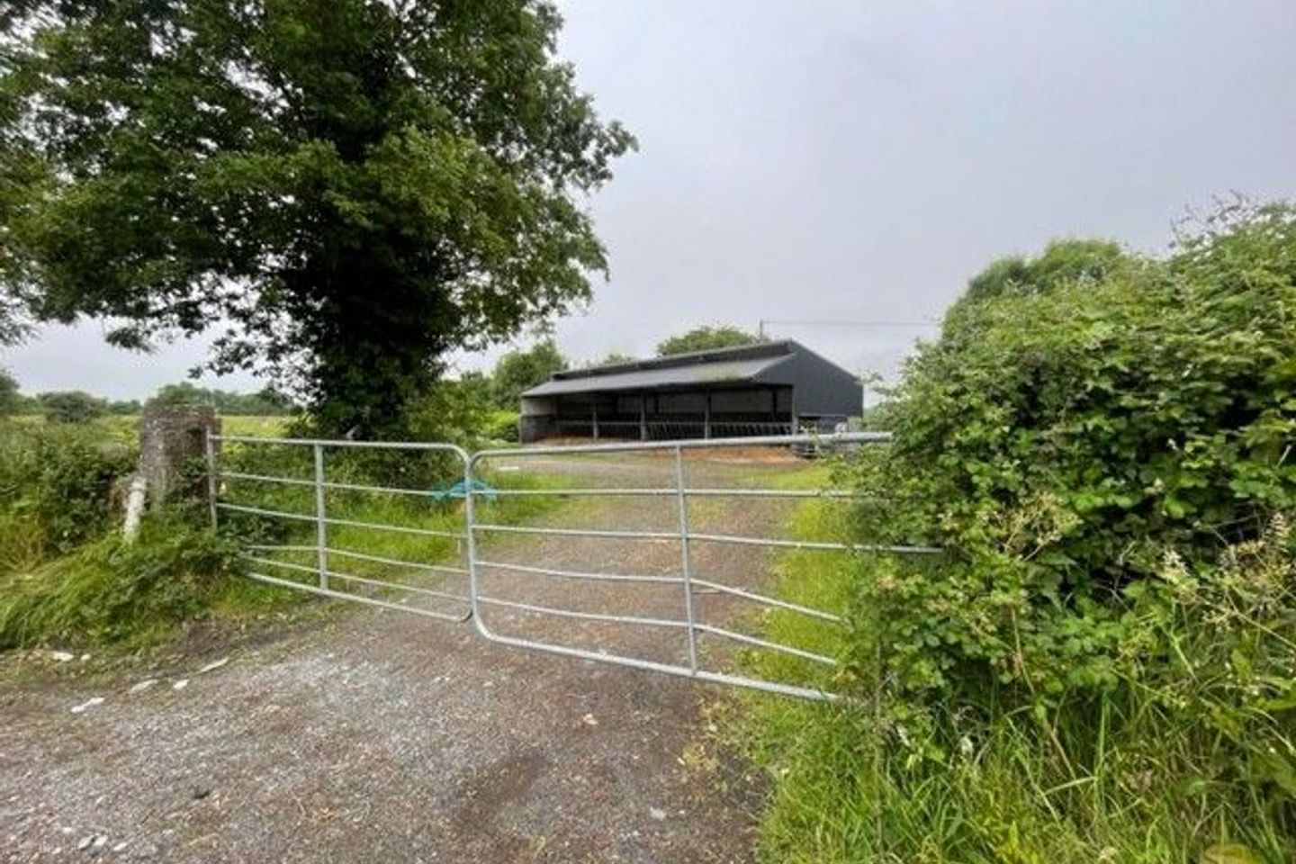 Grange, Co Limerick, Grange, Co. Limerick