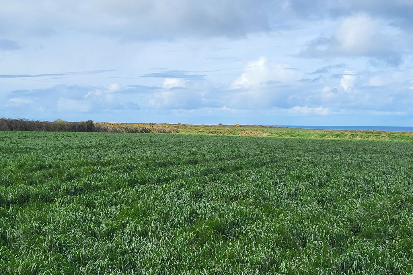 Drumnacurra, Causeway, Co. Kerry