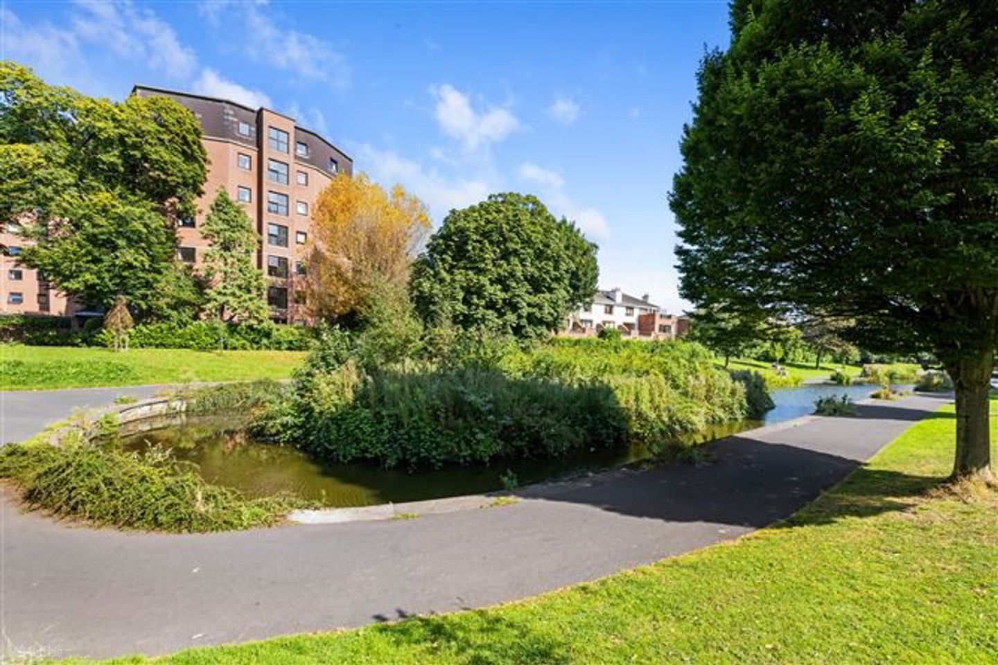 Willbrook House,Northbrook Avenue,Dublin 6, Ranelagh, Dublin 6