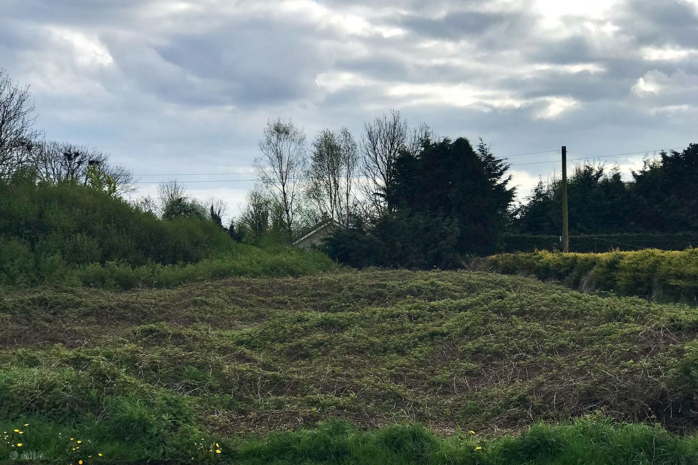 Killina, Carbury, Co. Kildare