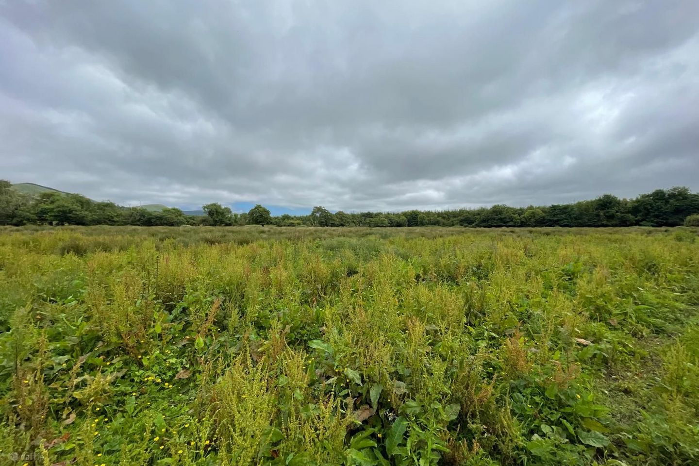 Leith West, Tralee, Co. Kerry