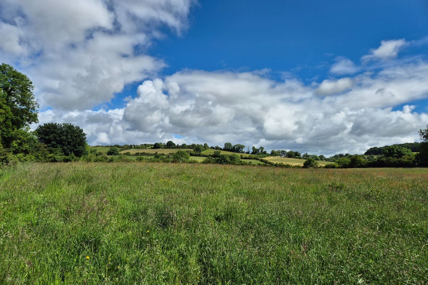 Corleygorm, Broomfield, Co. Monaghan