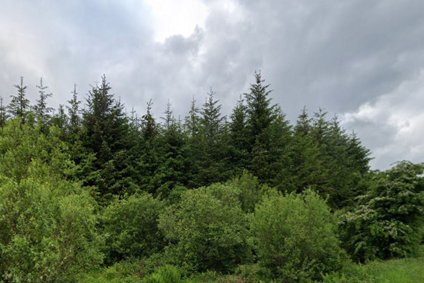 Glann East, Charlestown, Co. Mayo