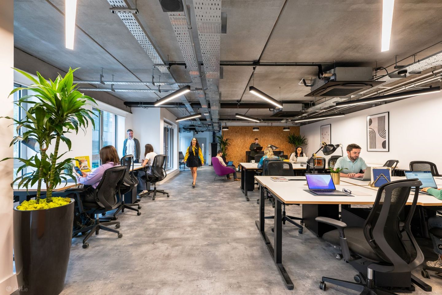 Windmill Lane, Dublin 2